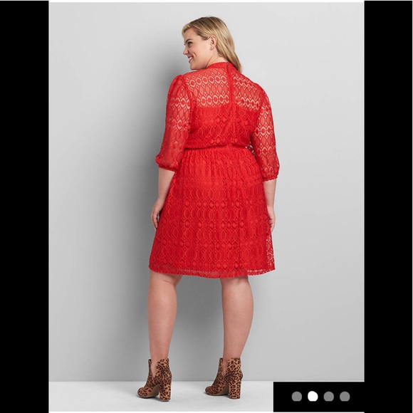 💖🆕LB Embroidered Lace F&F Dress - Picture 3 of 4